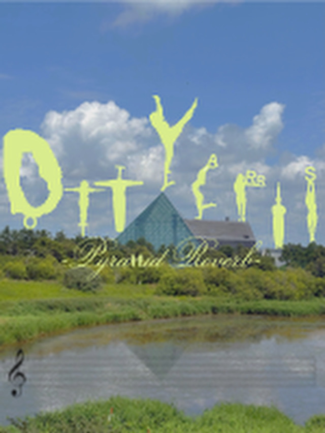 Ott Yarris フライヤー